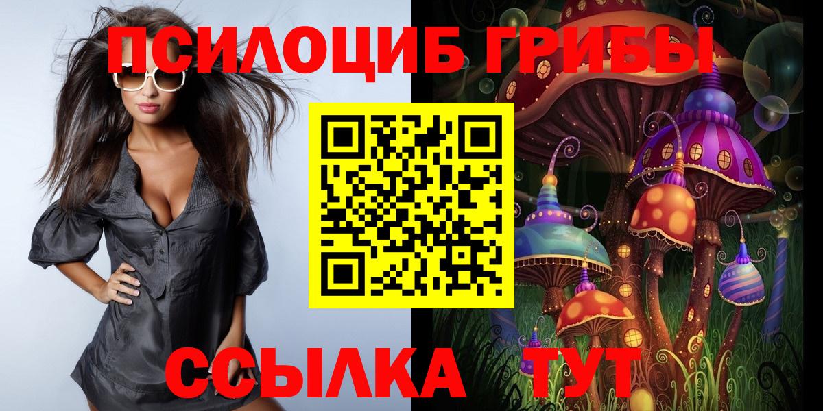 Галлюциногенные грибы Psilocybine cubensis Зеленогорск
