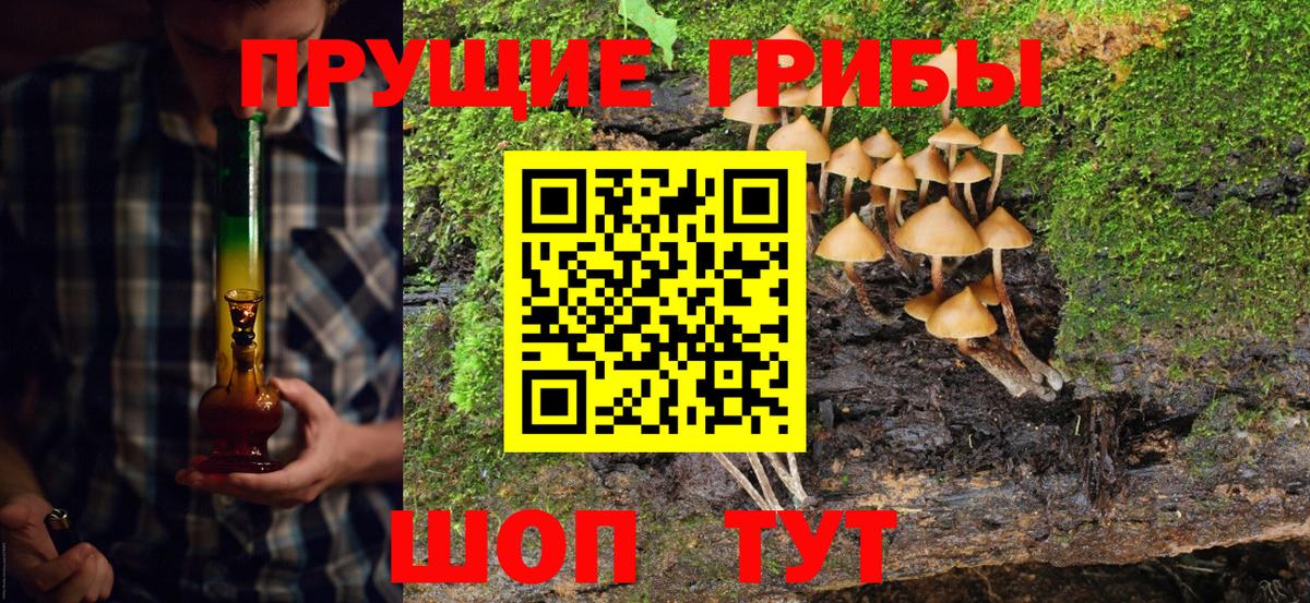 Псилоцибиновые грибы Psilocybe  Вход с VPN  Псилоцибиновые грибы прущие грибы  Зеленогорск 